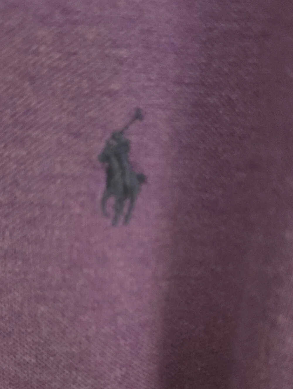 Polo by Ralph Lauren Lavender Classic Fit Men’s Polo